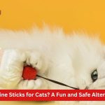 Are Safe Silvervine Sticks for Cats? A Fun and Safe Alternative to Catnip