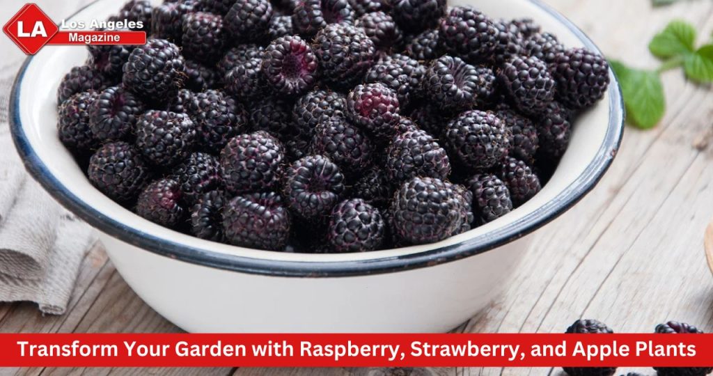 Transform Your Garden with Raspberry, Strawberry, and Apple Plants