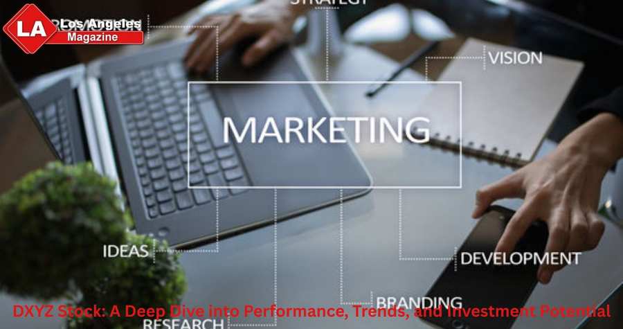 DXYZ Stock: A Deep Dive into Performance, Trends, and Investment Potential DXYZ Stock: A Deep Dive into Performance, Trends, and Investment Potential
