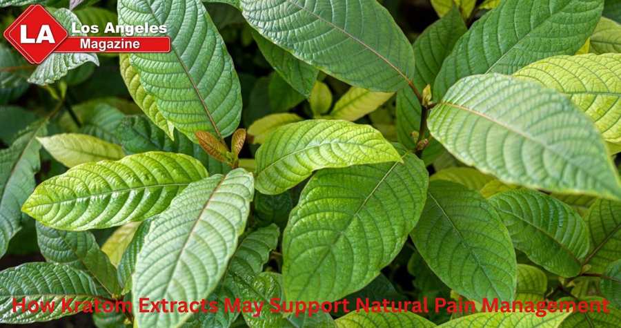 How Kratom Extracts May Support Natural Pain Management How Kratom Extracts May Support Natural Pain Management
