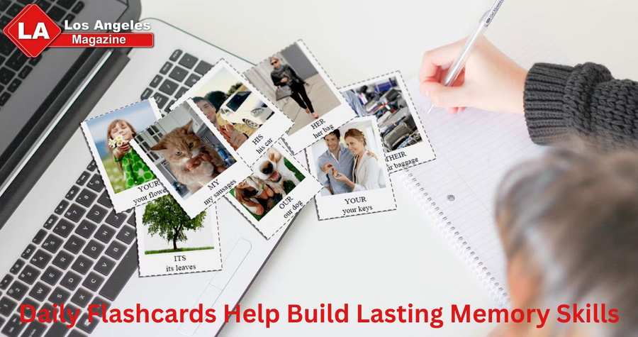 Daily Flashcards Help Build Lasting Memory Skills