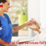A Guide to Essential Care Services for Pet Owners