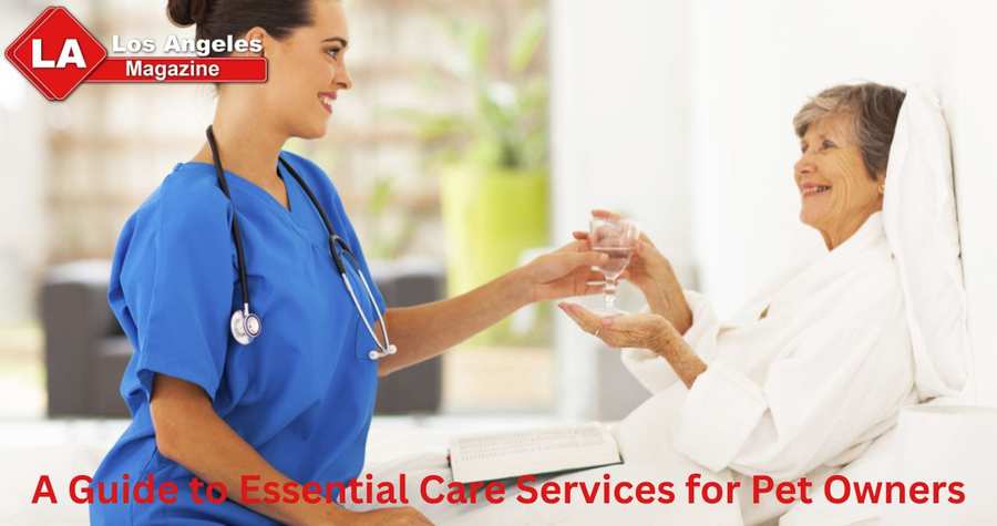 A Guide to Essential Care Services for Pet Owners
