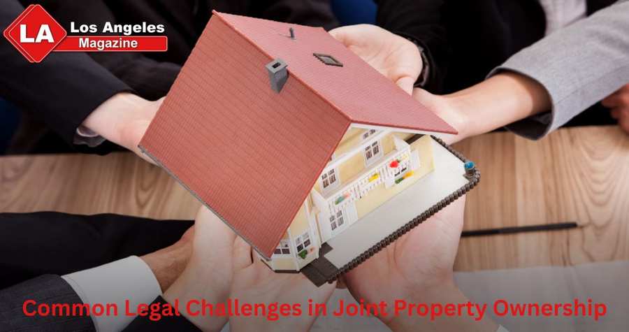 Common Legal Challenges in Joint Property Ownership Common Legal Challenges in Joint Property Ownership