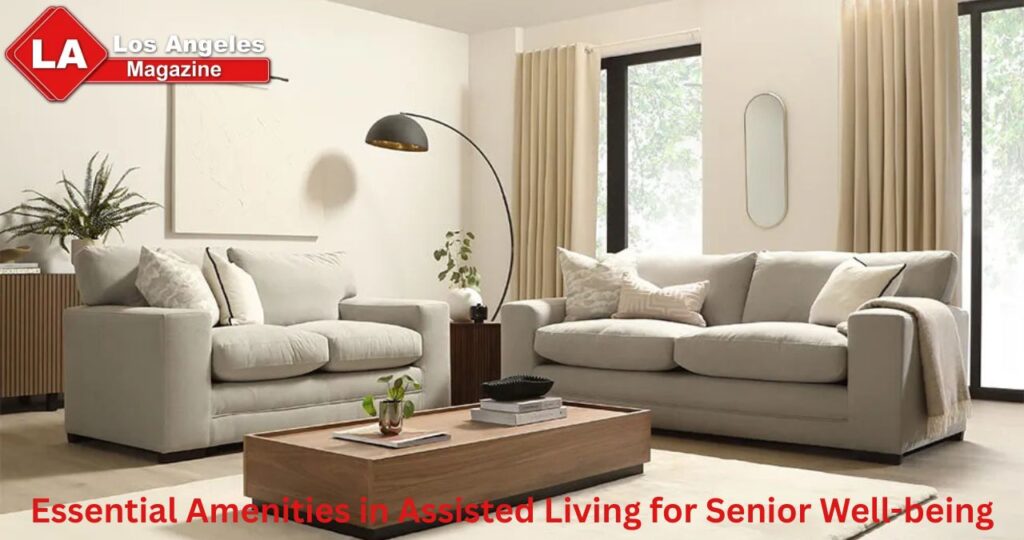 Essential Amenities in Assisted Living for Senior Well-being