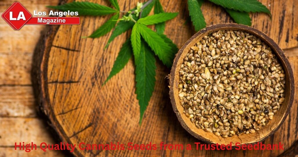 High Quality Cannabis Seeds from a Trusted Seedbank