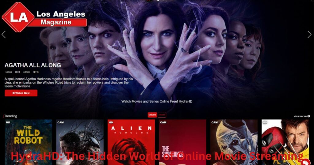 HydraHD: The Hidden World of Online Movie Streaming