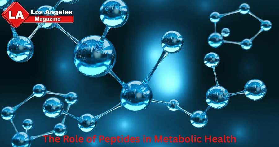 The Role of Peptides in Metabolic Health The Role of Peptides in Metabolic Health