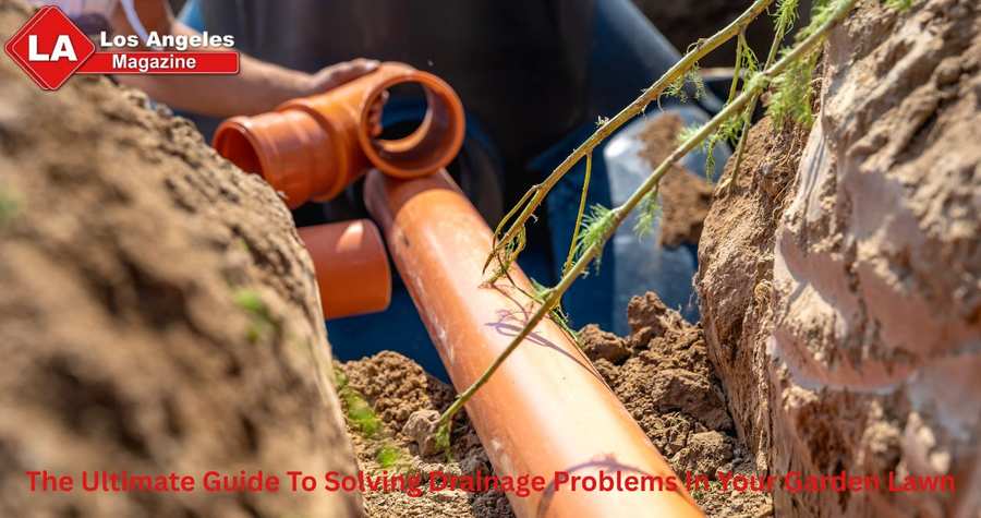 The Ultimate Guide To Solving Drainage Problems In Your Garden Lawn The Ultimate Guide To Solving Drainage Problems In Your Garden Lawn