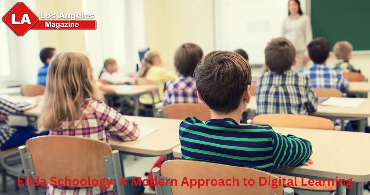 Elida Schoology: A Modern Approach to Digital Learning