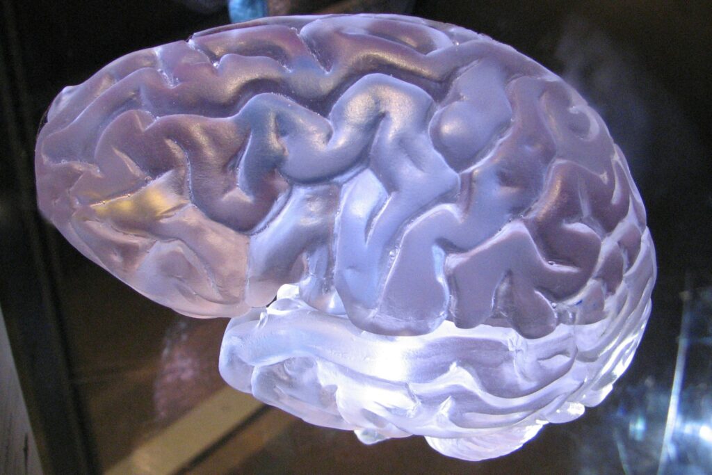 Understanding Cognitive Changes Across the Age Spectrum