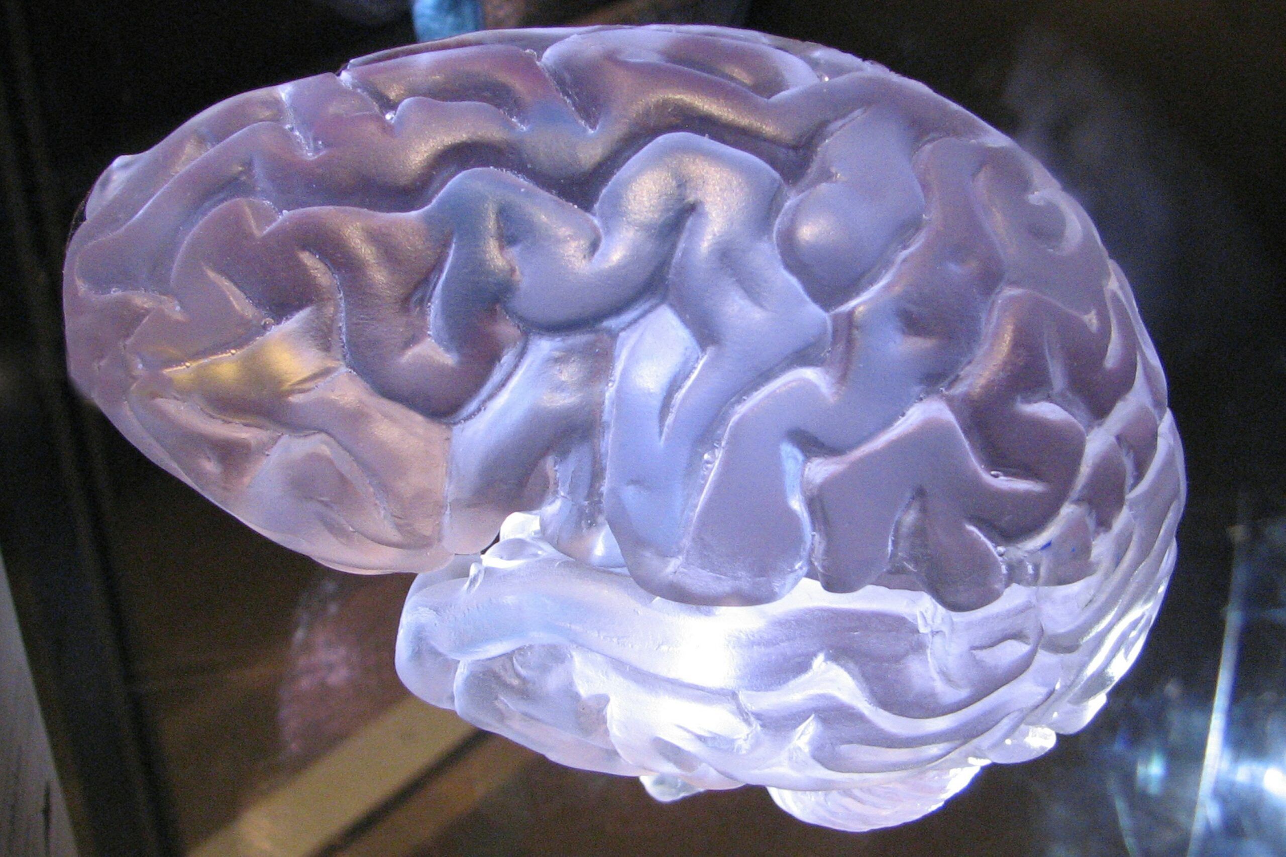 Understanding Cognitive Changes Across the Age Spectrum