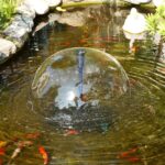 Tiny Pond, Big Impact: Small Space Pond Ideas for Urban Gardens In the hustle and bustle of city life, having a green space to call your own is a rare treasure. Urban gardens, no matter how modest, offer a breath of fresh air and a slice of nature amid concrete jungles. Among the most charming and transformative additions to these compact oases is a tiny pond. Despite their size, small ponds can have a huge impact enhancing aesthetics, supporting biodiversity, and promoting tranquility. Why Add a Pond to Your Urban Garden? A pond, even one no larger than a barrel, brings multiple benefits: Visual Appeal: Water introduces reflective surfaces and movement, making a garden feel larger and more dynamic. Wildlife Habitat: Frogs, birds, insects, and aquatic plants all thrive around water, creating a miniature ecosystem. Sound and Serenity: Trickling water reduces noise pollution and adds calming background sounds. Temperature Control: Water moderates surrounding temperatures, offering a cooler spot in the summer. Improved Air Quality: A well-maintained pond supports plants that contribute to cleaner, more humid air. In tight urban environments, incorporating a pond demonstrates how even the smallest patch of green can become a living, breathing sanctuary. Planning Your Small Pond: Space, Style, and Purpose 1. Assess Your Space Before diving in (pun intended), take stock of your available area. Consider: Light: Sunlight is vital for aquatic plants and fish. Access to Water and Electricity: For topping up and running small pumps or filters. Safety: Especially important for households with children or pets. A tiny pond doesn’t require much of a corner of a balcony, a narrow passage, or a tucked-away section of a raised bed might suffice. 2. Choose Your Pond Type Container Ponds Perfect for patios and balconies, these are water features built in barrels, tubs, or even recycled sinks. They’re lightweight, portable, and easy to set up. In-ground Mini Ponds If you have access to soil, digging a small pond, say, 2 feet across can still offer impressive results. Line it with pond liner, add stones for edges, and voilà! Vertical Water Features For truly space-challenged areas, consider wall-mounted water panels or cascading wall fountains that simulate the pond feel without occupying floor space. Design Ideas for Maximum Impact 1. Repurposed Planters and Bowls Got a ceramic planter collecting dust? Transform it into a charming pond. Waterproof it, add some aquatic plants like water lettuce or dwarf papyrus, and you're done. This approach is affordable, sustainable, and stylish. 2. Zen-Inspired Pond Corners Borrow from Japanese garden aesthetics by incorporating smooth stones, bamboo elements, and minimalistic plantings. A shallow stone basin filled with water can exude peace and harmony, even in a tiny courtyard. 3. Tiered Pond Systems If you’re feeling ambitious, stack containers in a tiered fashion to create a cascading water garden. Each level serves as a mini pond, with water gently flowing between them. This design uses vertical space efficiently and creates relaxing water sounds. 4. Pond with Seating Integration Incorporate your pond into built-in seating arrangements. For example, a bench with a recessed water feature underneath adds both functionality and visual interest. 5. Hidden Oasis Design Use tall grasses, trellises, and hanging plants to hide the pond partially. This creates a sense of discovery and adds mystery and depth to a small garden layout. Best Plants for Small Ponds A well-planted pond is the key to its success. Here are top choices that thrive in compact environments: Water Lettuce: Floaters that provide shade and reduce algae. Dwarf Water Lily: Offers beautiful blooms in small-scale ponds. Hornwort: A submerged plant that oxygenates the water. Pickerelweed: Attractive flowers and manageable size. Miniature Cattails: Add vertical interest without overwhelming the space. Remember to balance floaters, submerged plants, and marginal (edge) plants for both visual appeal and ecosystem health. Can You Add Fish to Tiny Ponds? Yes but with limitations. Small ponds have limited oxygen and water volume, so it’s essential to choose wisely. Good Fish Options: White Cloud Mountain Minnows: Hardy and small. Mosquitofish: Eat larvae, helping with pest control. Guppies: Colorful and low maintenance. Avoid koi or large goldfish, as they require deeper, more spacious environments. Also, use a pond filters and monitor water quality regularly to keep your aquatic pets healthy. Maintenance Tips for Tiny Ponds Though small in size, these ponds require regular care to remain clean, functional, and beautiful. Weekly: Remove fallen leaves and debris. Check water levels and top up with dechlorinated water. Monthly: Rinse filters if you’re using a pump. Trim overgrown plants. Test water pH and ammonia levels if fish are present. Seasonally: In cold climates, consider bringing container ponds indoors. Use a small heater or aerator in winter to prevent freezing. A tiny pond might demand frequent attention, but it pays dividends in tranquility and beauty. Creative Small Pond Ideas for Urban Settings 1. Balcony Pond in a Wine Barrel Wine barrels cut in half make excellent pond containers. Add a mini pump, some water hyacinths, and solar-powered lights for evening magic. 2. Recycled Bathtub Pond Turn an old clawfoot tub into a whimsical pond. Paint it, decorate with mosaic tiles, and surround it with potted plants to soften its outline. 3. Tabletop Pond for Compact Spaces Even a coffee table or sturdy plant stand can hold a mini water garden. Use shallow trays, line them with pebbles, and include miniature floating plants. 4. Rainwater-fed Micro Pond Attach a rain chain or gutter diverter to direct rainwater into a small pond container. Eco-friendly and cost-effective, this setup makes the most of natural resources. Adding Features for Drama and Function Waterfalls and Bubblers A gentle water flow not only oxygenates the pond but adds soothing sound. Solar pumps are great for powering small bubblers without electrical hookups. Lighting Use submersible LED lights or floating solar lanterns to make your pond glow at night. Strategic lighting transforms your garden into an evening retreat. Bridge or Stepping Stones In larger small spaces (such as rooftops), consider a tiny bridge or a few stepping stones across your pond. It enhances interactivity and aesthetics. Eco-Friendly Tips for Urban Gardeners Use rainwater or collected greywater to fill your pond. Avoid harsh chemicals opt for natural algae control like barley straw. Introduce native plants to support local pollinators. Install a pond filters or small solar-powered pump to keep the water clear without excessive manual cleaning. Creating a pond isn’t just about beauty, it's about sustainability and ecological enrichment, particularly in urban spaces where green life is often lacking. Common Mistakes to Avoid Overstocking fish: Too many fish can overwhelm the pond’s ecosystem. Poor placement: A pond under a tree might require frequent cleaning. Ignoring maintenance: Even the tiniest ponds need care to thrive. Using tap water without treatment: Chlorine and other chemicals harm fish and plants. Plan ahead, and your pond will flourish becoming a centerpiece of calm and natural beauty. Final thoughts : You don’t need acres of land or a sprawling backyard to enjoy the joys of a pond. A tiny pond can transform even the most modest urban garden into a lush, sensory-rich paradise. Whether nestled in a corner of a balcony or integrated into a small patio, these water features bring light, life, and serenity to tight spaces. Let your imagination flow freely. With a touch of creativity, some strategic plantings, and a bit of care, your miniature pond can leave a lasting impression. After all, nature’s magic doesn’t depend on scale, it's the thought, design, and heart behind it that matters.
