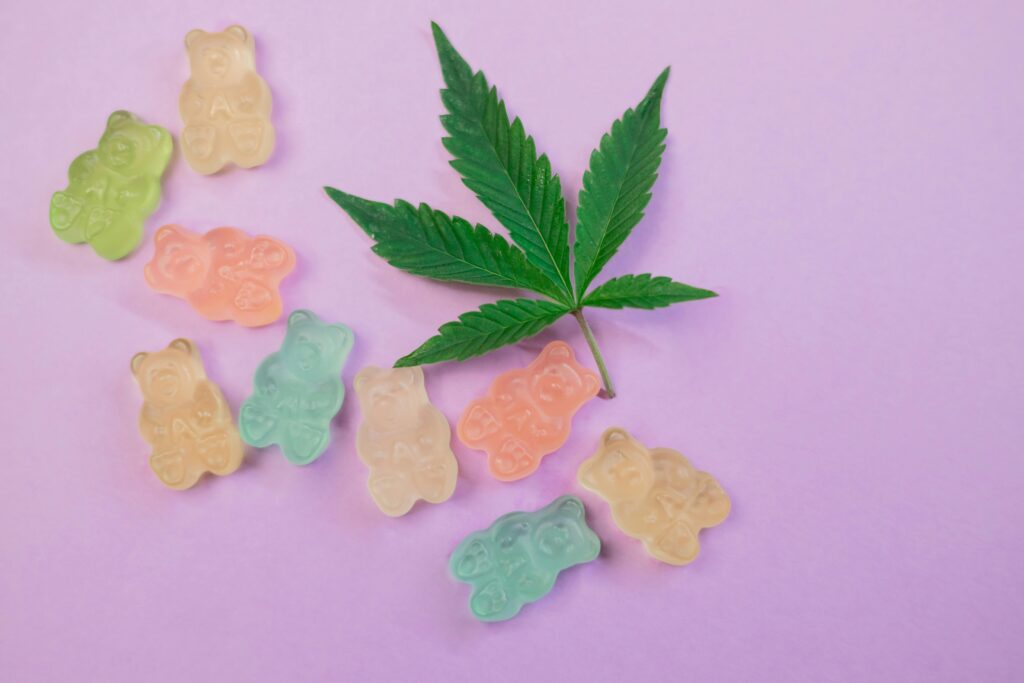 Types of Cannabis Edibles: A Complete Guide to Your Options