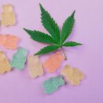 Types of Cannabis Edibles: A Complete Guide to Your Options