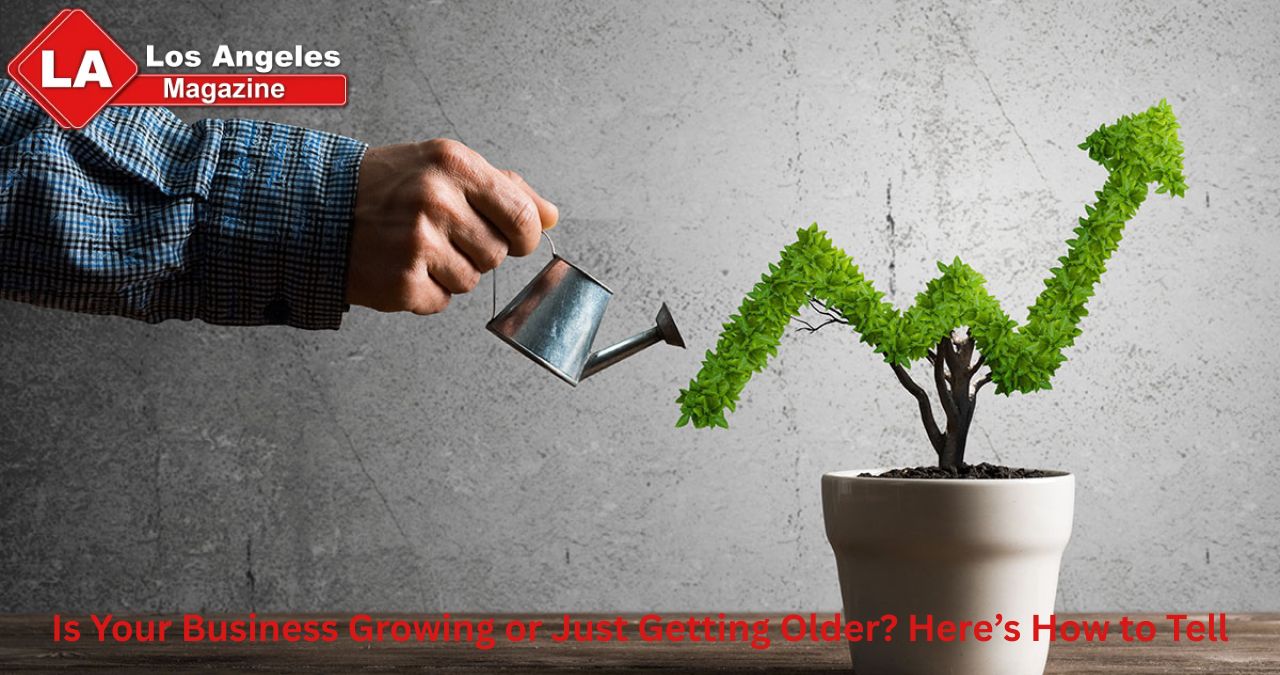 Is Your Business Growing or Just Getting Older? Here’s How to Tell