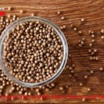 Koriandri: A Unique Spice with Rich Flavor and Health Benefits