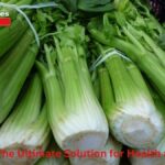 Pravi Celer: The Ultimate Solution for Health and Wellness