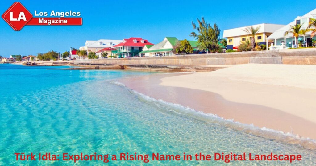 Türk Idla: Exploring a Rising Name in the Digital Landscape