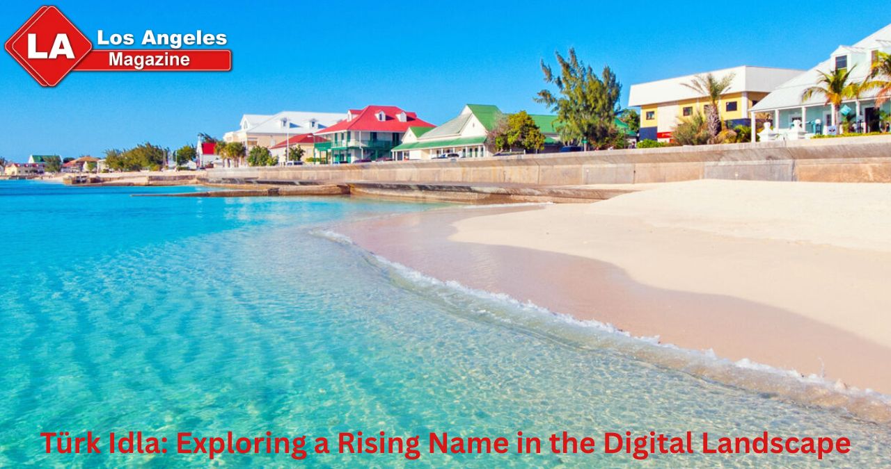 Türk Idla: Exploring a Rising Name in the Digital Landscape