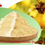 What to Look for in a Superoxide Dismutase Supplier?