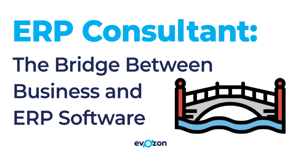 Choosing Between an Independent ERP Consultant and a Partner Firm
