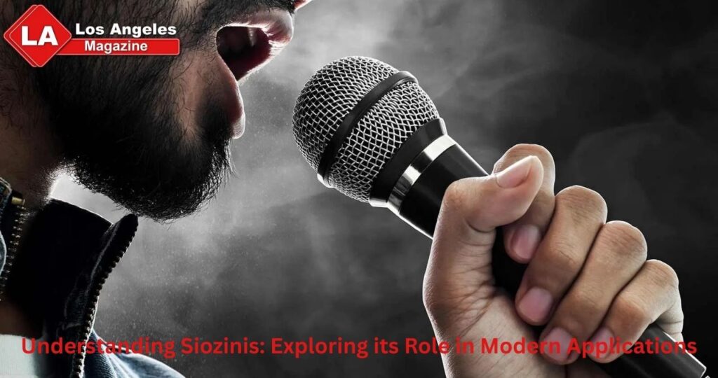 Understanding Siozinis: Exploring its Role in Modern Applications