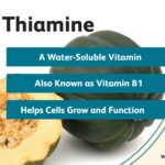 Thiamine Supplement: What It Is and Why Your Body Needs It
