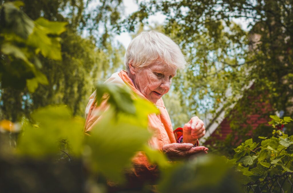 A Complete Guide to Mental Health Support for Seniors