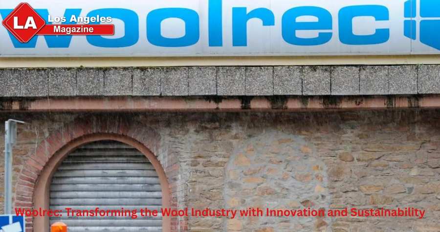 Woolrec: Transforming the Wool Industry with Innovation and Sustainability Woolrec: Transforming the Wool Industry with Innovation and Sustainability