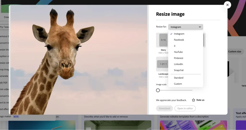 Why Photo Resize Matters for Digital Projects