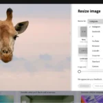 Why Photo Resize Matters for Digital Projects