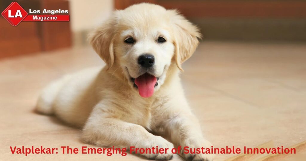 Valplekar: The Emerging Frontier of Sustainable Innovation Valplekar: The Emerging Frontier of Sustainable Innovation