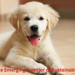 Valplekar: The Emerging Frontier of Sustainable Innovation