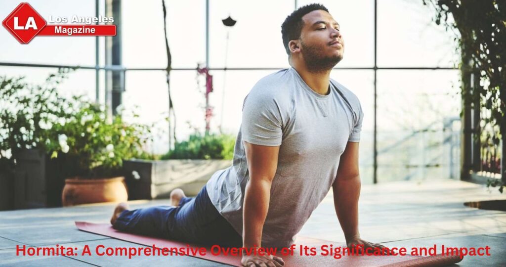 Hormita: A Comprehensive Overview of Its Significance and Impact