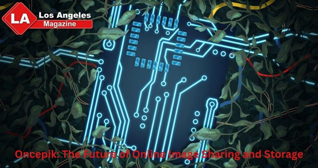 Oncepik: The Future of Online Image Sharing and Storage