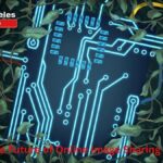 Oncepik: The Future of Online Image Sharing and Storage