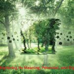 Porpenpelloz: Exploring Its Meaning, Potential, and Digital Relevance