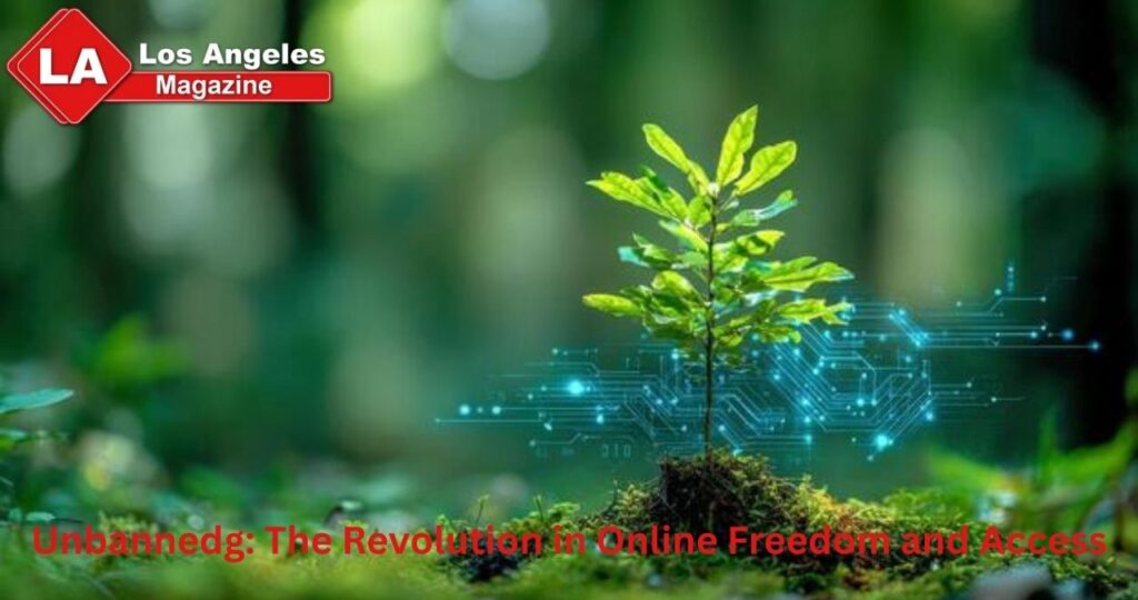 Unbannedg: The Revolution in Online Freedom and Access Unbannedg: The Revolution in Online Freedom and Access