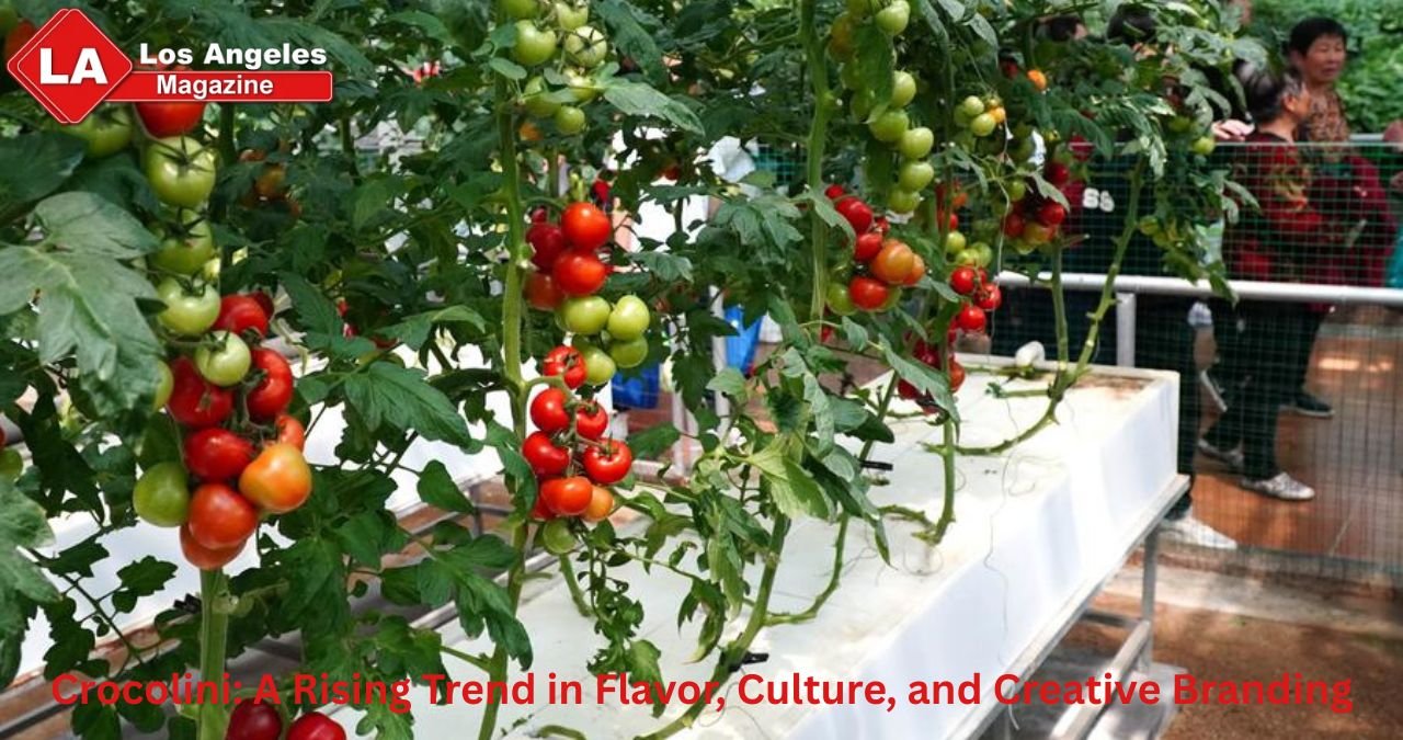 Crocolini: A Rising Trend in Flavor, Culture, and Creative Branding