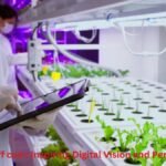 Dreamwithjeff com: Inspiring Digital Vision and Personal Growth