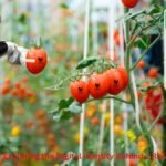 Euroyungs com: Exploring the Digital Identity Behind a Rising Online Name