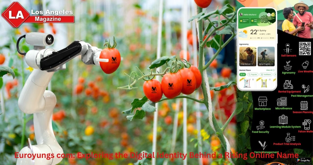 Euroyungs com: Exploring the Digital Identity Behind a Rising Online Name