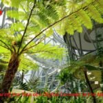 Messonde: Exploring the Rise of a Digital Concept in the Modern Online Era