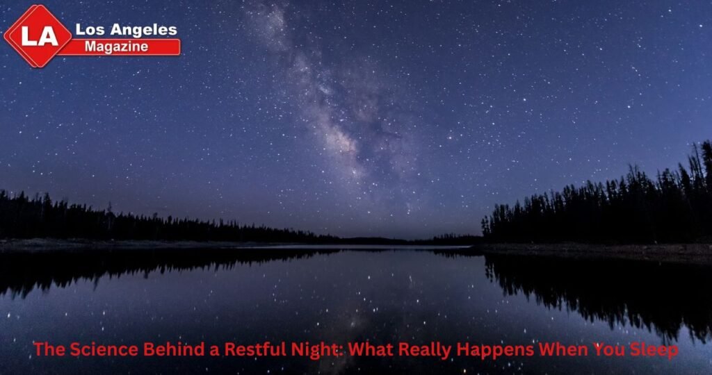 The Science Behind a Restful Night: What Really Happens When You Sleep The Science Behind a Restful Night: What Really Happens When You Sleep