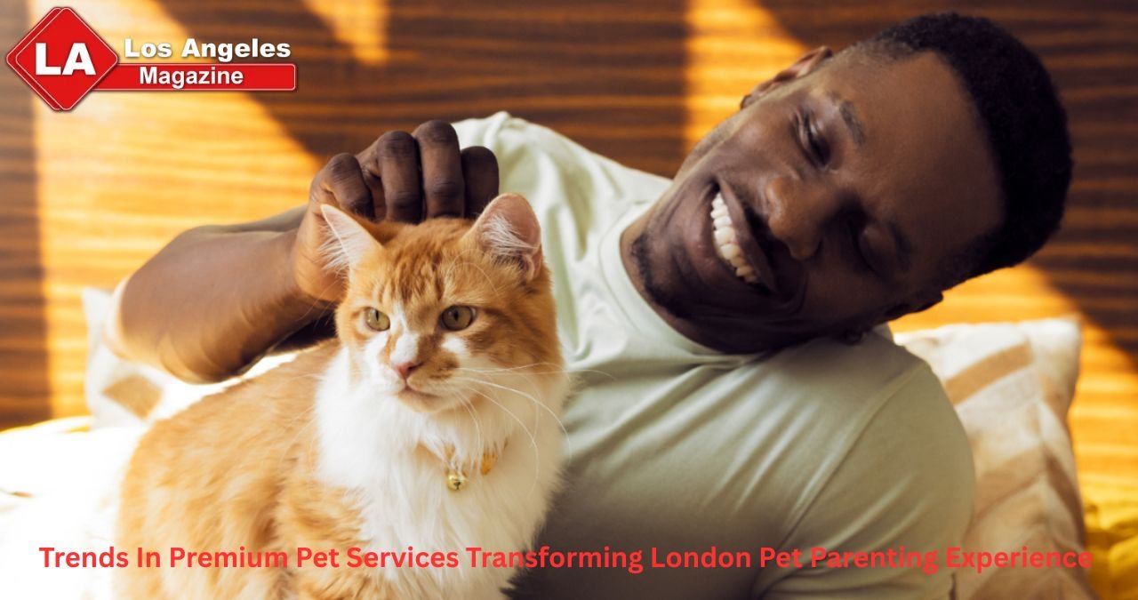 Trends In Premium Pet Services Transforming London Pet Parenting Experience