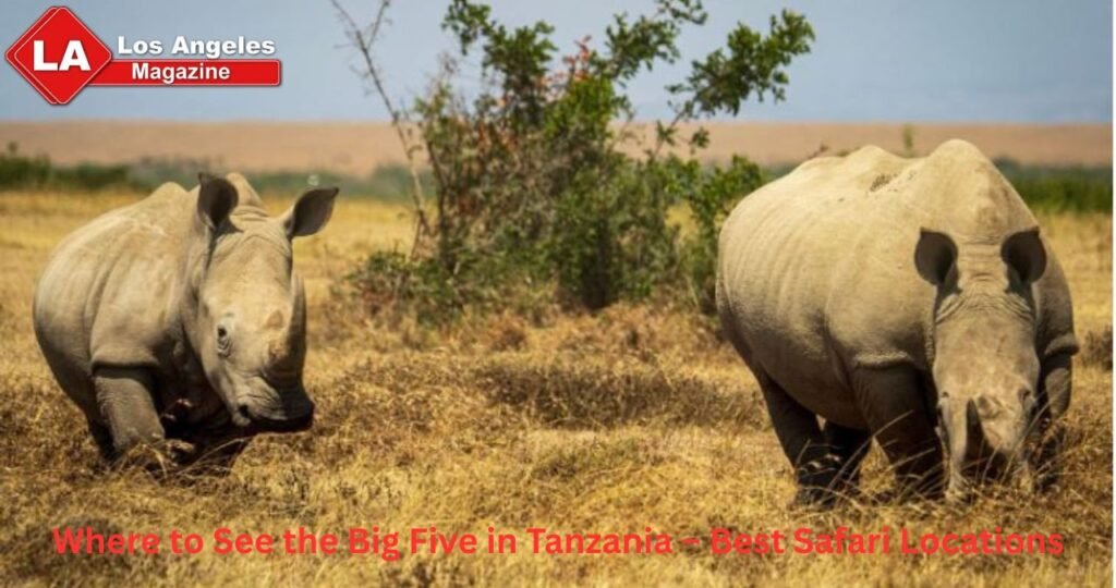 Where to See the Big Five in Tanzania – Best Safari Locations Where to See the Big Five in Tanzania – Best Safari Locations