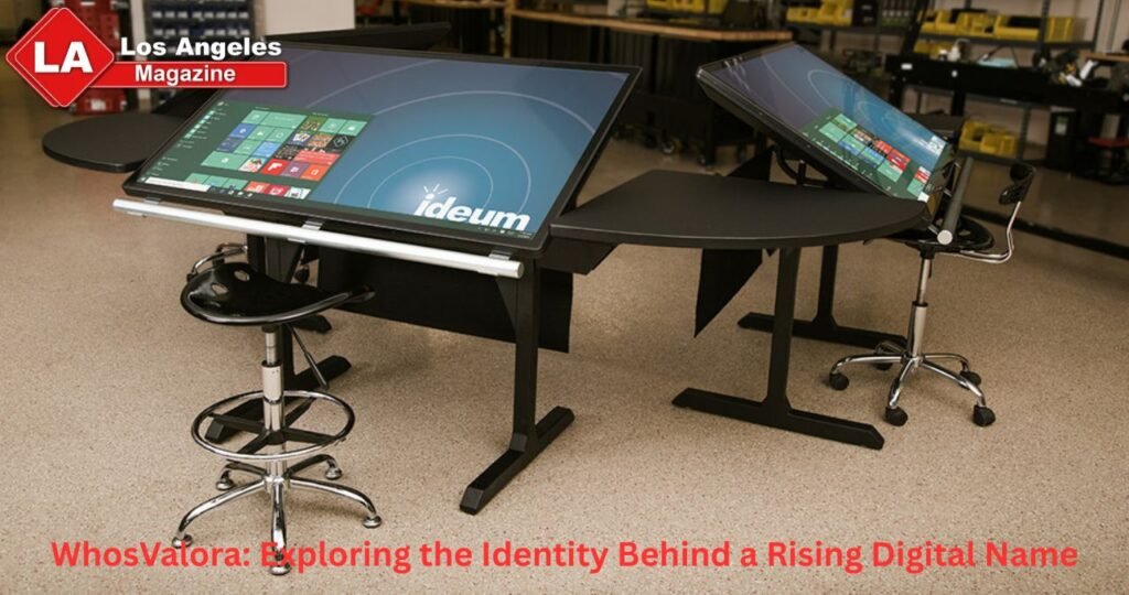 WhosValora Exploring the Identity Behind a Rising Digital Name